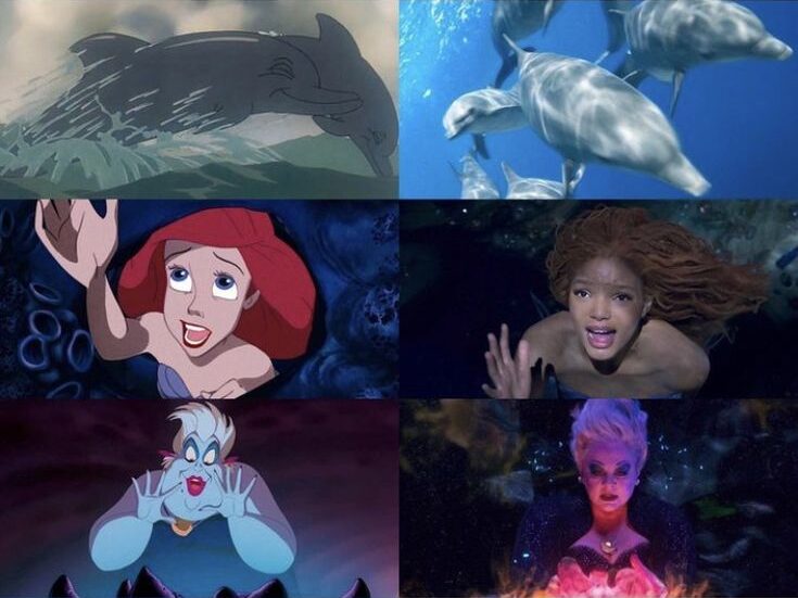 little mermaid 
