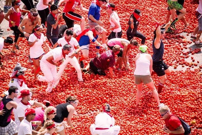 tomatina