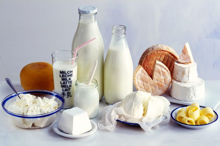 dairy products