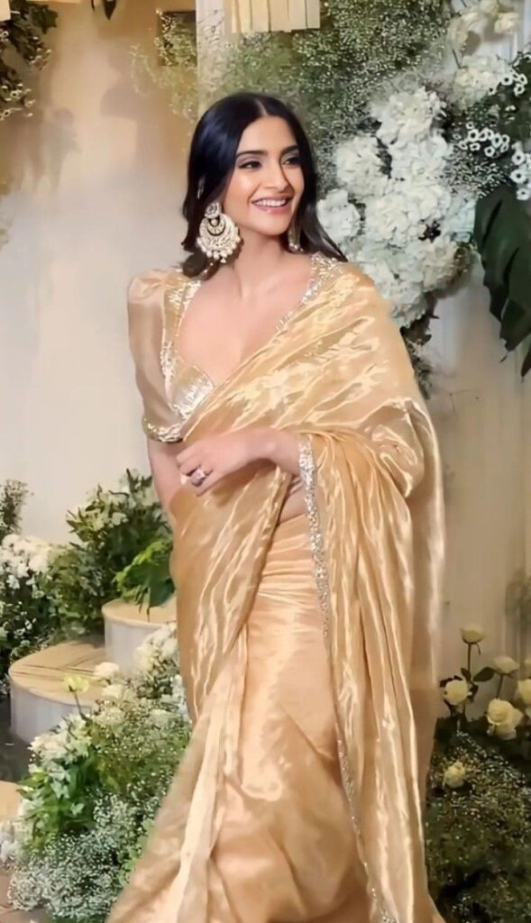 Organza sarees