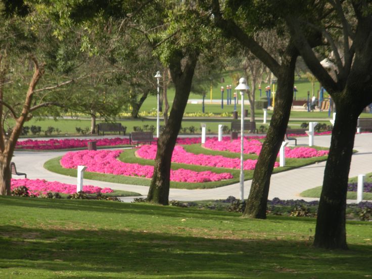 zabeel park
